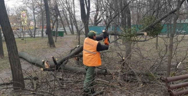 У Києві проведуть позачергове обстеження зелених насаджень, що можуть становити небезпеку під час негоди.