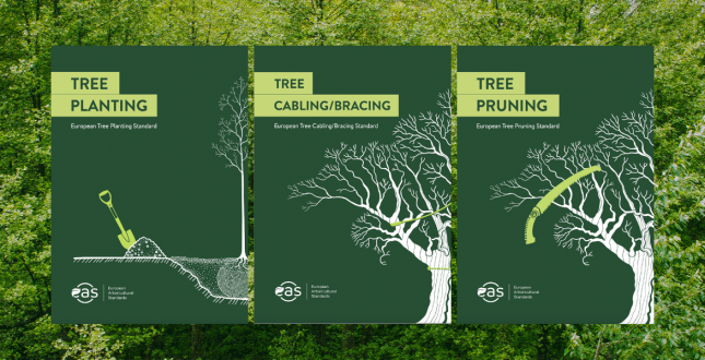 Київ ініціював адаптацію європейських стандартів догляду за деревами з метою їх впровадження у столиці