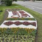 259